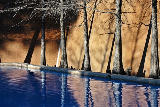 Free Fort Worth Texas photo and picture