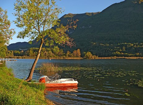 Lago, Árvore, Natureza, Panorama, Cair