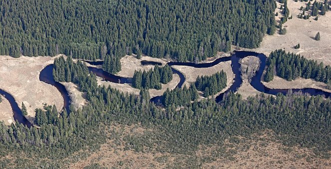 Free Meanders Vltava photo and picture
