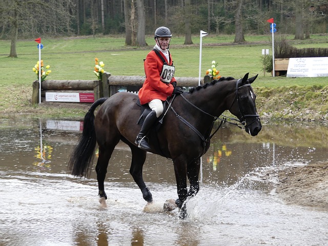 Cravate de chasse Equithème - cravate de dressage