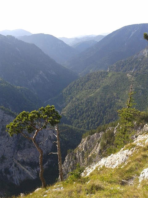 Berge, Tal, Holz, Einsam, Natur, Alpine