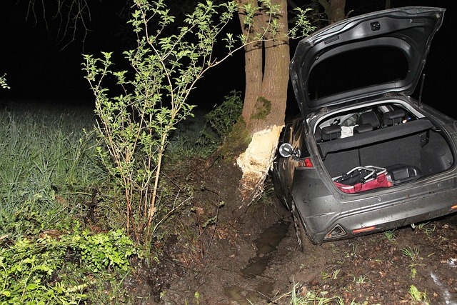 Free Accident Road Traffic photo and picture
