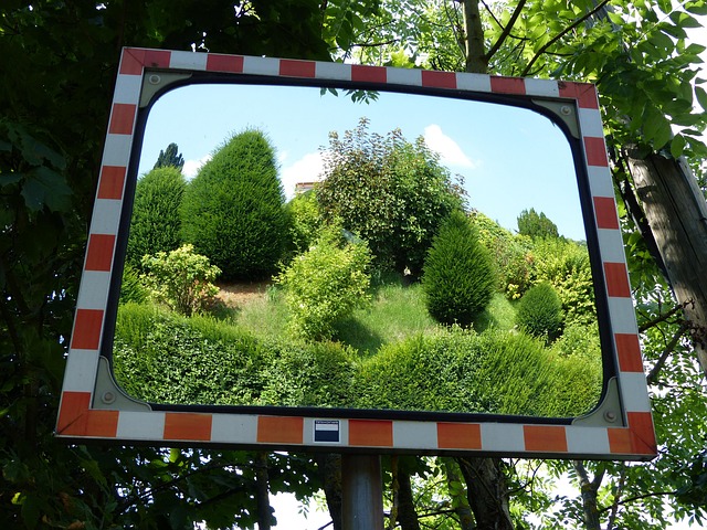 Free Mirrors Traffic Mirror photo and picture