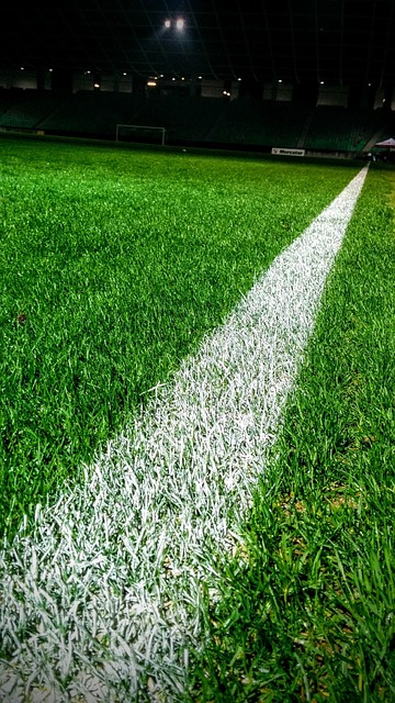 Free Line Football photo and picture