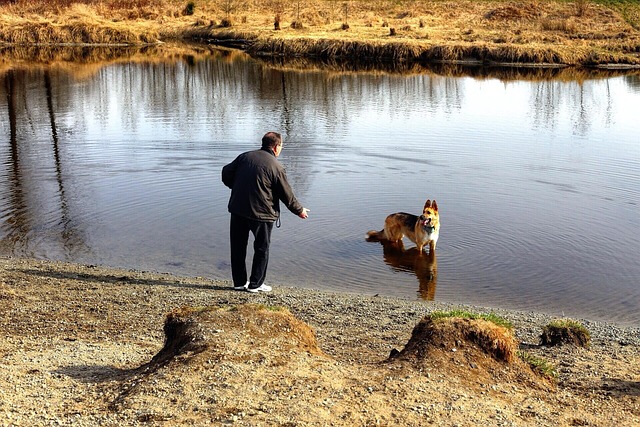 Free Man Dog photo and picture