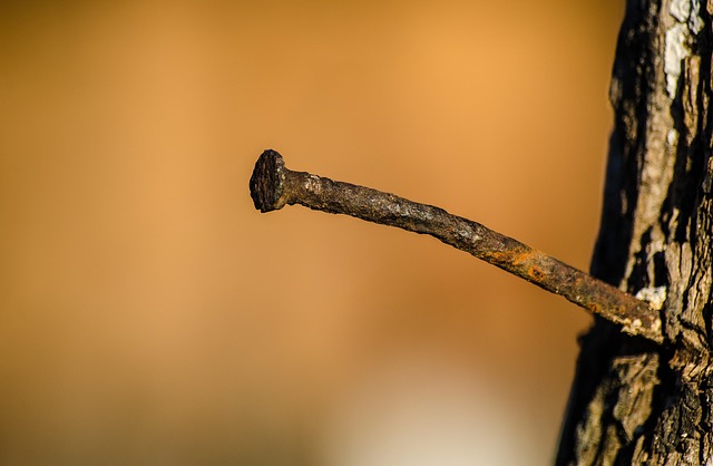Free Nail Rust photo and picture