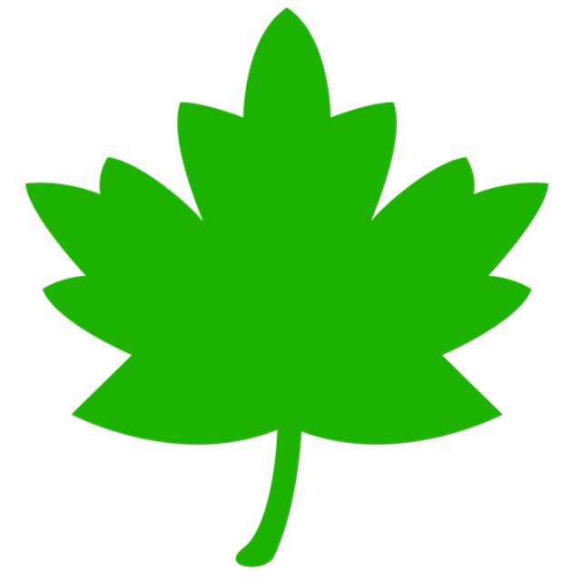 Free icon leaf green illustration