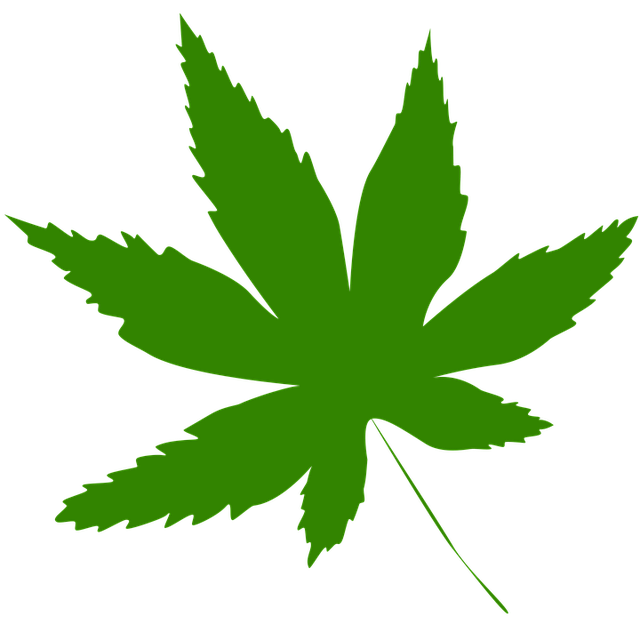 Free icon leaf green illustration