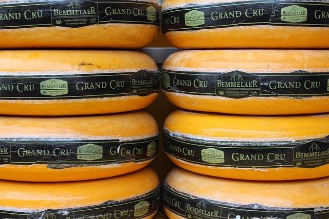 Free Cheese Holland photo and picture