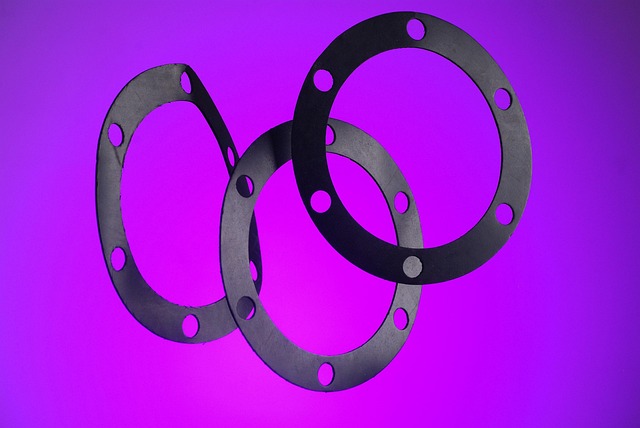 Free Gasket Munsch photo and picture