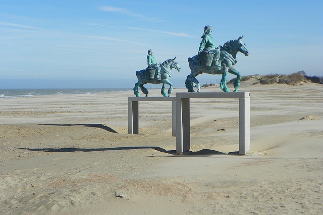 Free Horse Fisherman photo and picture