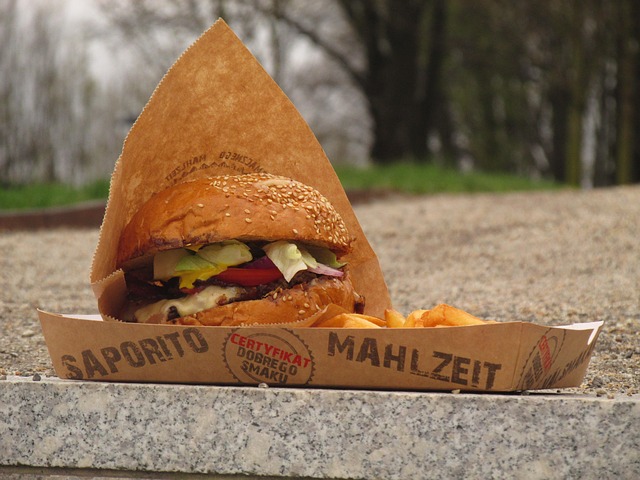Free Hamburger Burger photo and picture