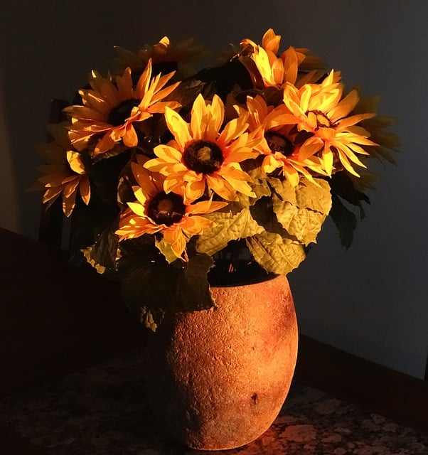 Free sunflower late summer season illustration