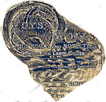 snail, caracol, seashell