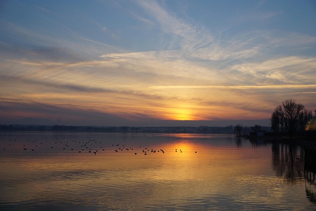Free The Needle Trasimeno Lake photo and picture
