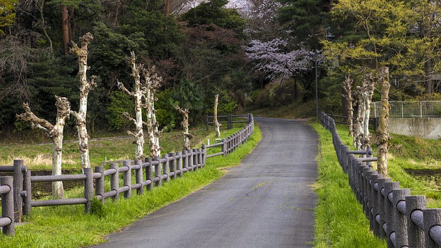 Free Path Field photo and picture