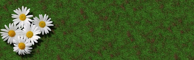 Free banner header background illustration