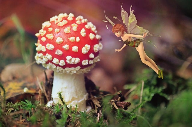 Frau, Elfe, Fee, Fliegenpilz, Märchen