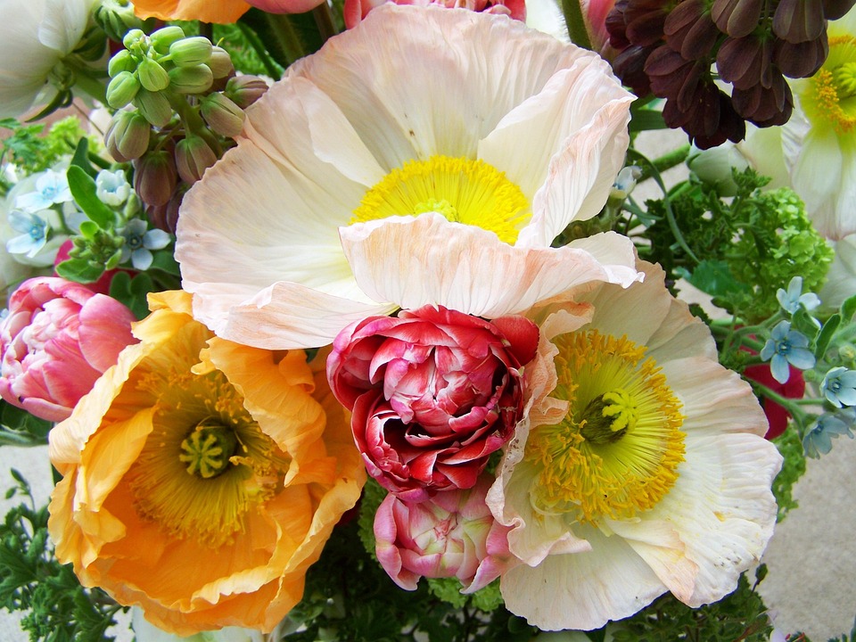Bunch Of Flowers Mixed Flower Cut · Free photo on Pixabay