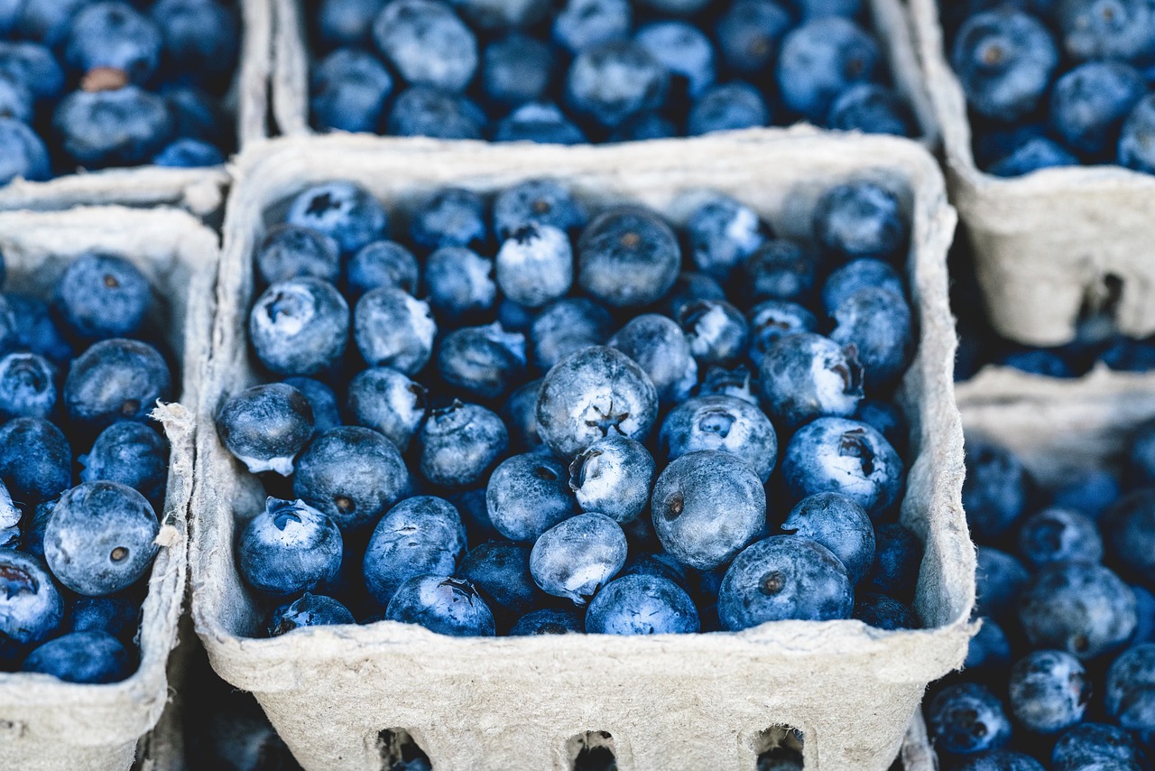 20 000 Free Farm Produce Agriculture Images Pixabay 20 000 Free Farm Produce Agriculture Images Pixabay