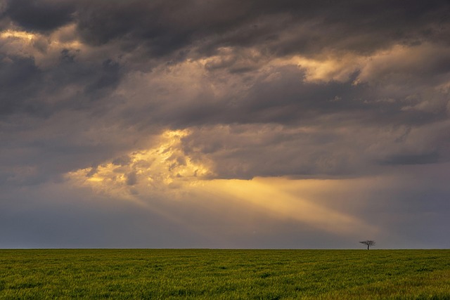 Free Storm Light Rays photo and picture