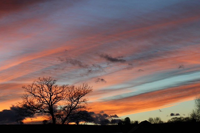 Free Sunset Evening photo and picture