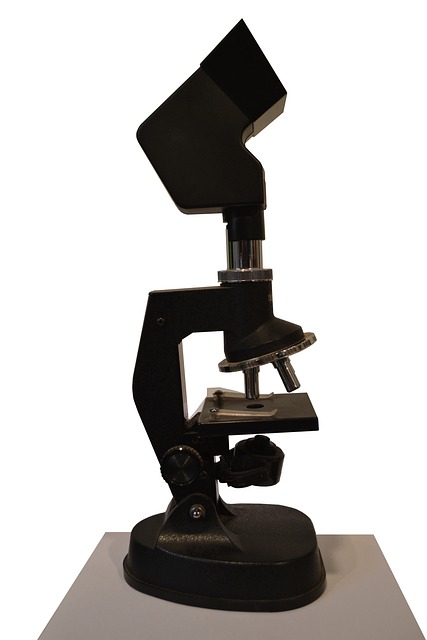 microscope, lens, increase, vision, science, scientist, students, lesson, school, bacterium, note, microscope, microscope, microscope, microscope, microscope