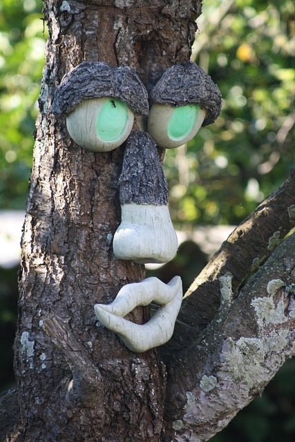 Free Tree Face photo and picture