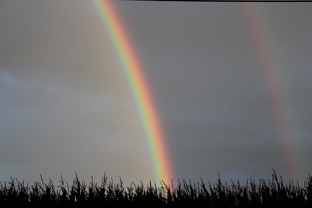 Free Sky Storm photo and picture