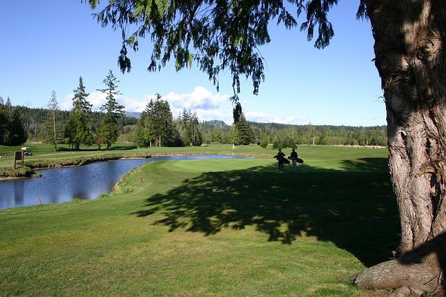 Free Golf Nature photo and picture