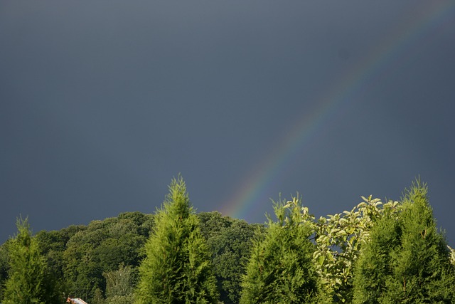 Free Rainbow Sky photo and picture