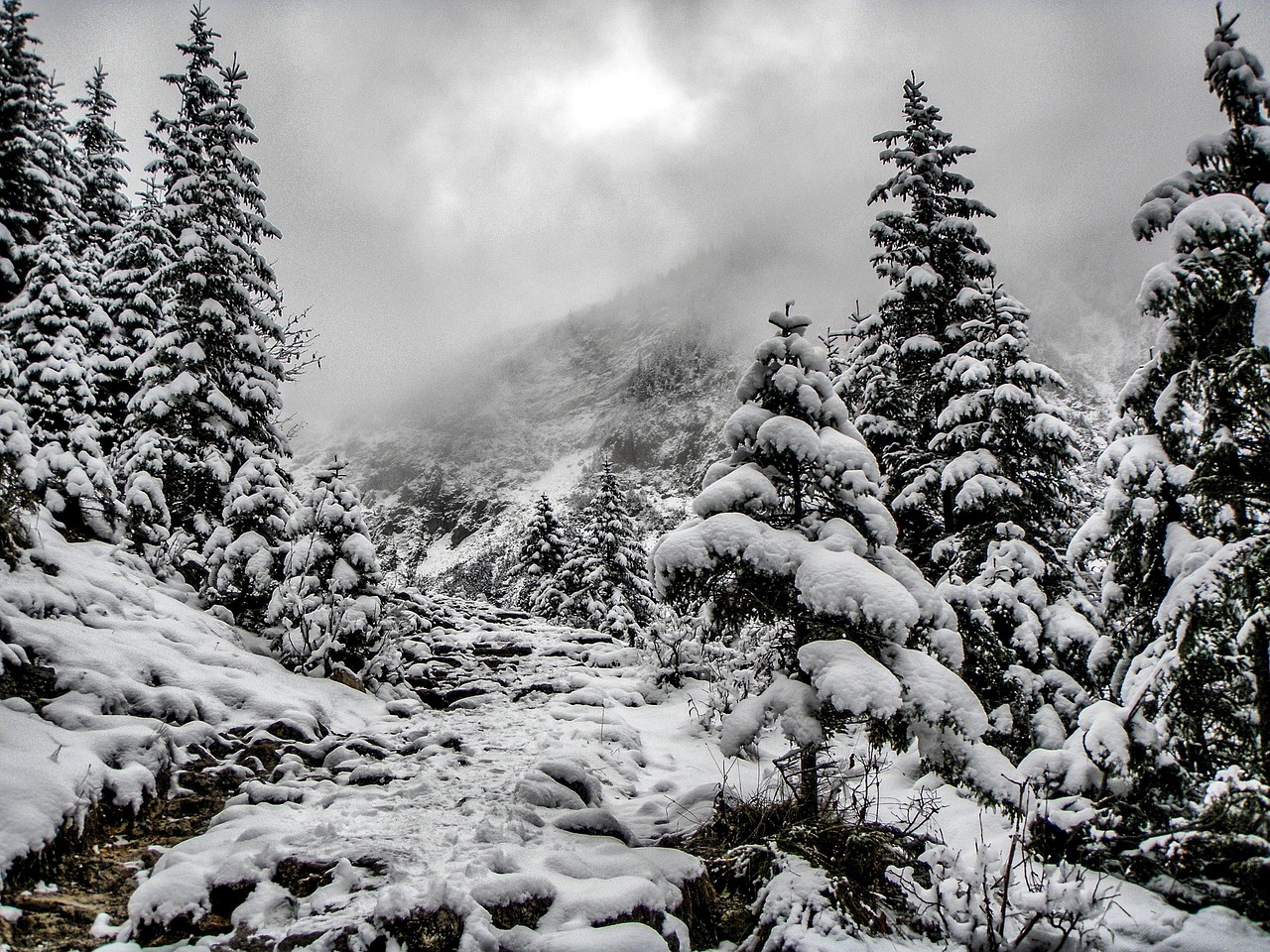 winter-1328980_1280.jpg