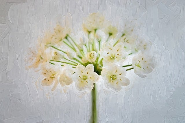 Free painting nature flower illustration