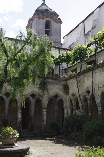 Free Courtyard Tree photo and picture