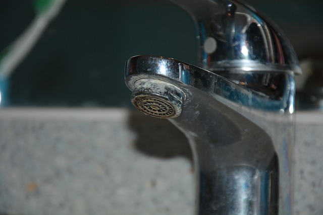 Free Limestone Fouling photo and picture