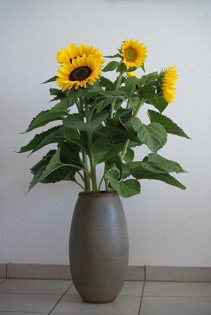 Free Birthday Bouquet Sunflowers photo and picture