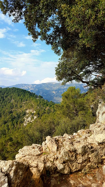 Tramuntana-Gebirge, Mallorca, Berg