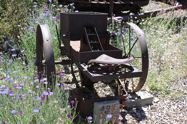 Free Old Plow photo and picture
