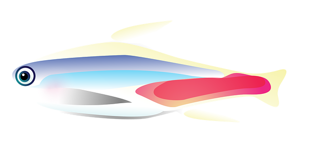 Free Fish Tropical Fish vector and picture