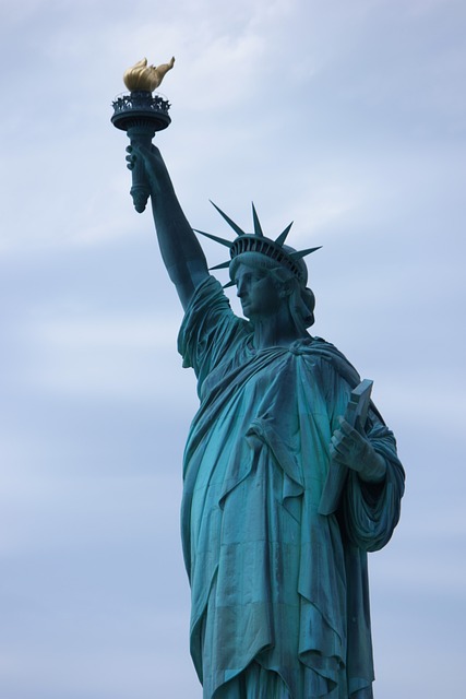 Free America Freedom photo and picture