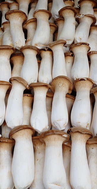Free Mushrooms Meal photo and picture