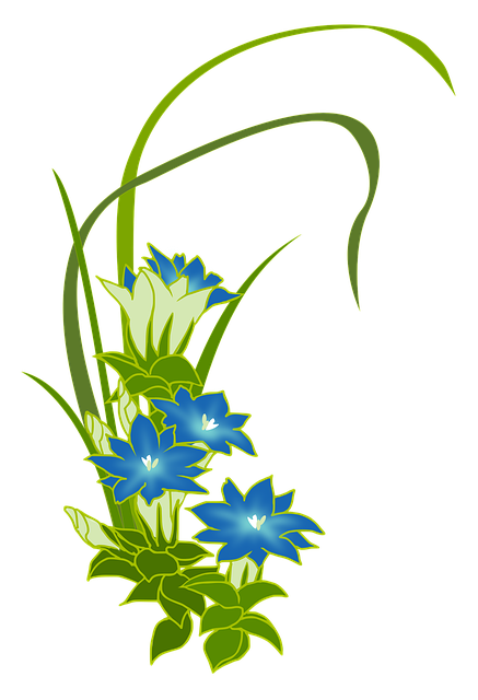 Free gentian wild grass blue illustration