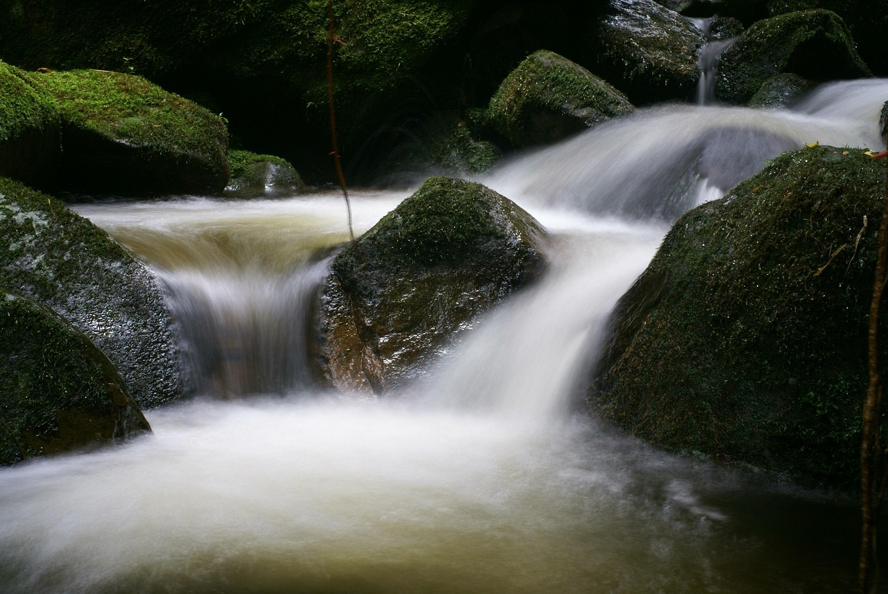 Naturaleza Río Cascada - Foto gratis en Pixabay - Pixabay
