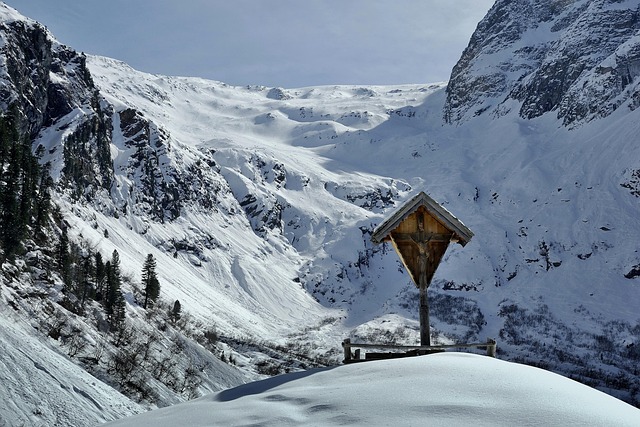 Free Winter Snow photo and picture