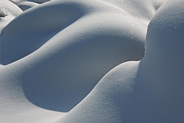 Free Winter Snow photo and picture