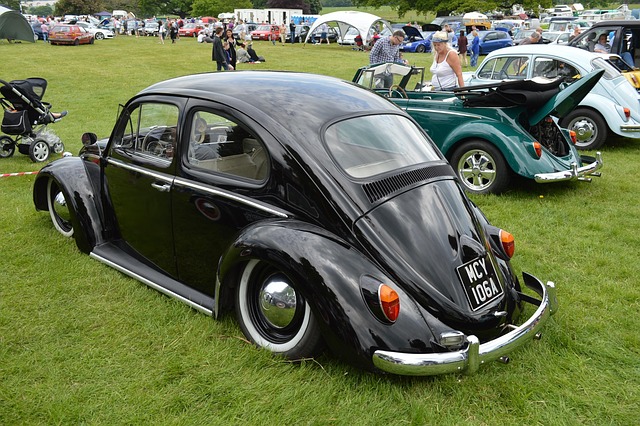 Free Beetle Retro photo and picture