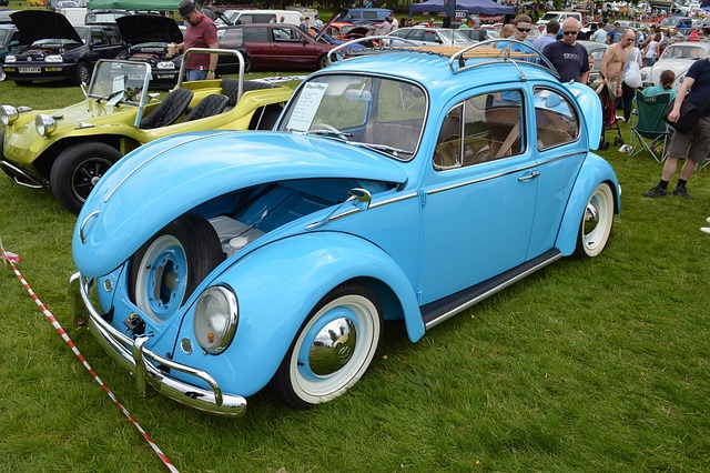 Free Beetle Retro photo and picture