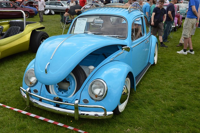 Free Beetle Classic photo and picture