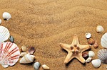 sea, sand, coast