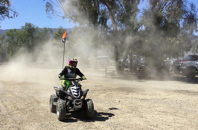 Free Atv Quad photo and picture